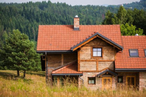 Herbarium Bieszczadzkie Apartamenty, Berezka